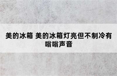 美的冰箱 美的冰箱灯亮但不制冷有嗡嗡声音